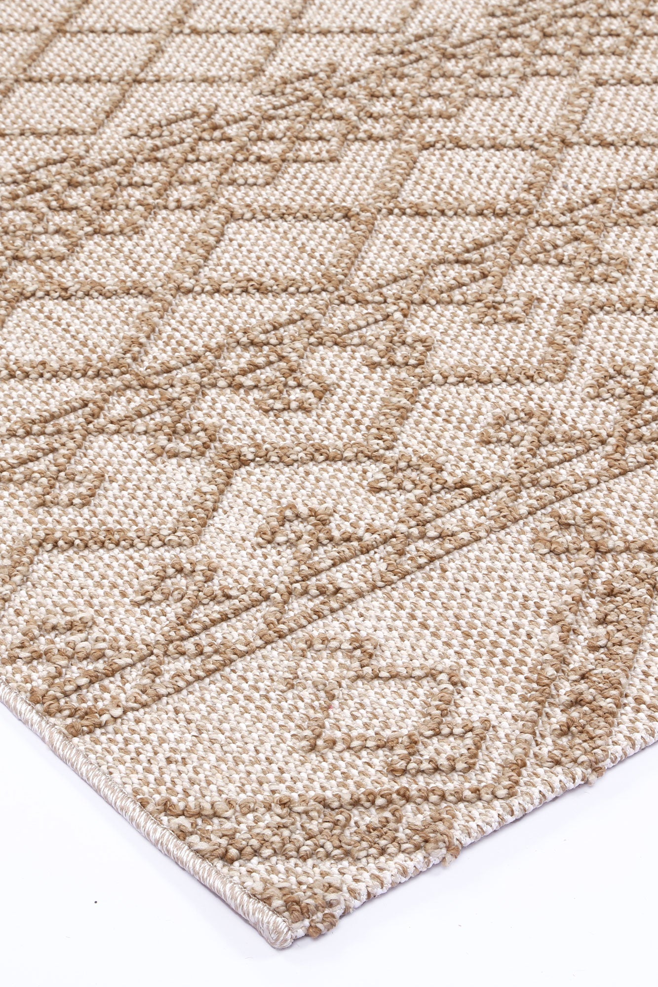 Elara Dracus Indoor / Outdoor Beige Rug
