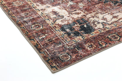 Distressed Vintage Cezanne Terracotta Area Rug - VITAL 2244-01
