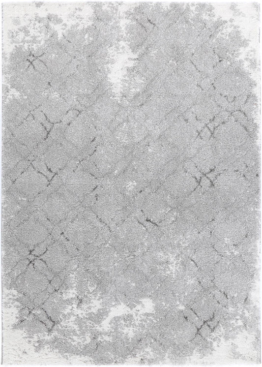 Yuzil Grey Transitional Rug