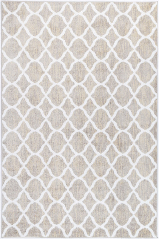 Paisley Lattice Latte Rug