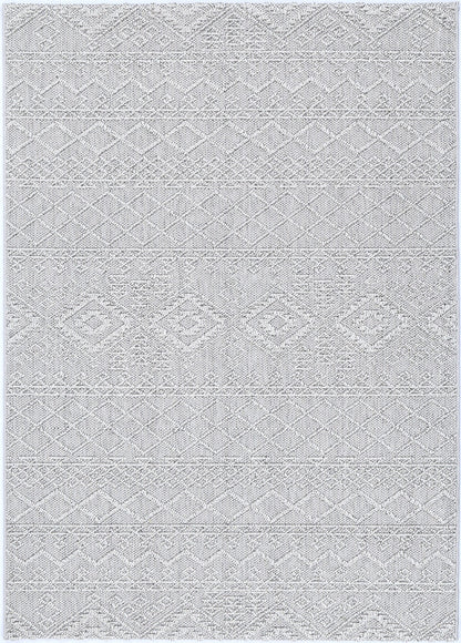 Elara Dracus Indoor / Outdoor Grey Rug