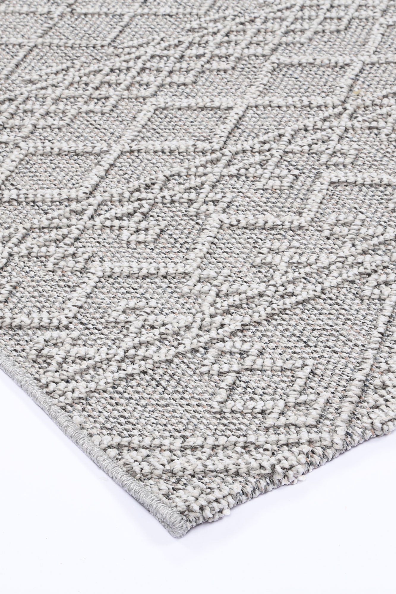 Elara Dracus Indoor / Outdoor Grey Rug