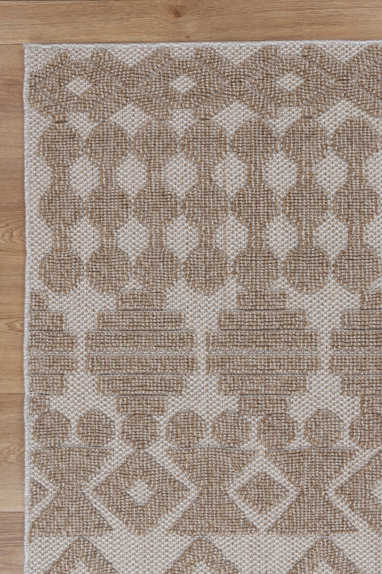 Elara Avashu Indoor / Outdoor Beige Rug